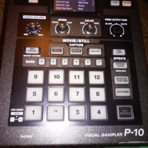 EDIROL ROLAND P-10 ビジュアルサンプラー　値下げしました ローランド Roland P-10 | Visual Sampler