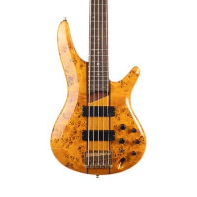 Ibanez SR800 AM 4 String Bass - Amber Repack Retail Box 606559801688 |  Reverb