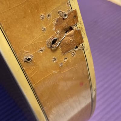Gibson 1958 Byrdland, Natural image 18