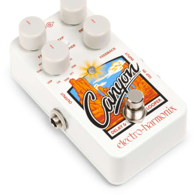 Electro-Harmonix Canyon Delay & Looper Pedal image 3