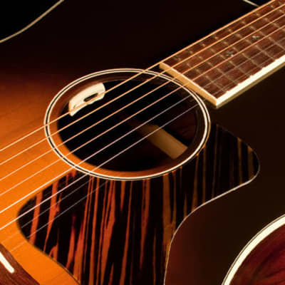 LR Baggs Anthem-SL Acoustic Pick-up for sale