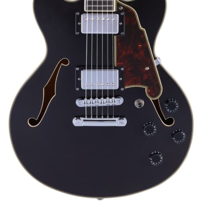 D'Angelico Premier Mini DC Semi-Hollow Body Electric Guitar, Black Flake w/Gig Bag image 1