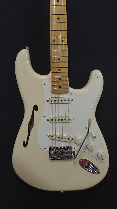 Custom Fender Stratocaster Thinline EJ Inspired Eric Johnson Signature  Pickguard Assembly w/Gigbag