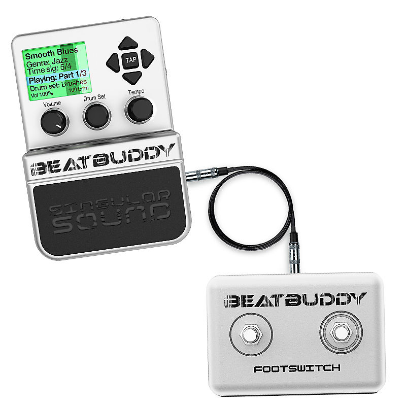 【豊富な大得価】BeatBuddy foot switch セット ギター