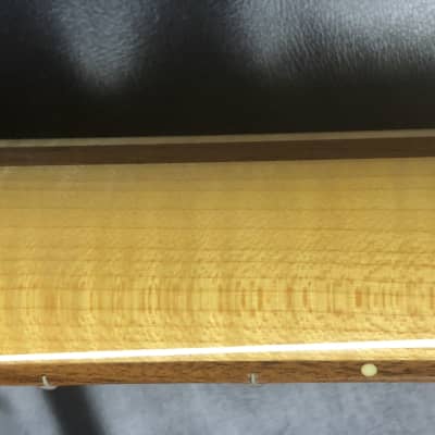 Fender USA Stratocaster  2014 - Warmoth Neck image 8