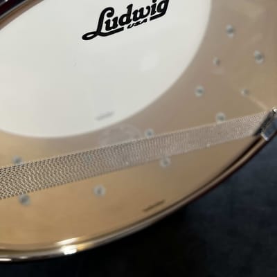 Ludwig 6.5" x 14" Classic Maple Snare Dum - Olive Pearl image 5