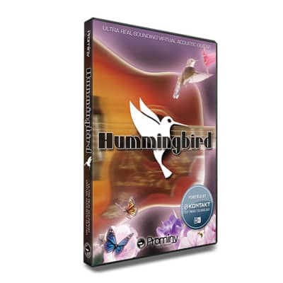 Prominy Hummingbird (Download) image 1