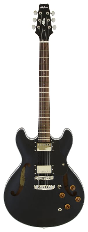 Aria Pro II TA-TR1 Stained Black