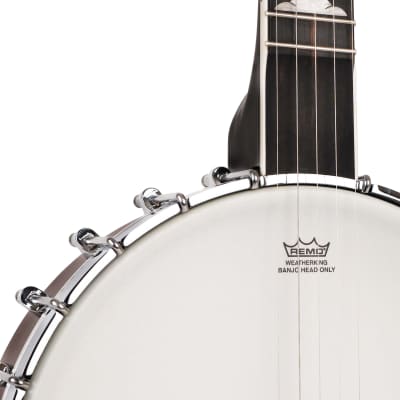 Gold Tone Mastertone™ WL-250: White Ladye Banjo with Case image 15