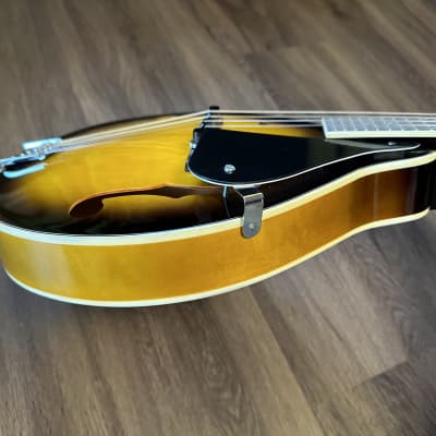 Donner Mandolin A Style 90’s - Mahogany Sunburst DML-1 with Gig Bag and Extra Strings image 7