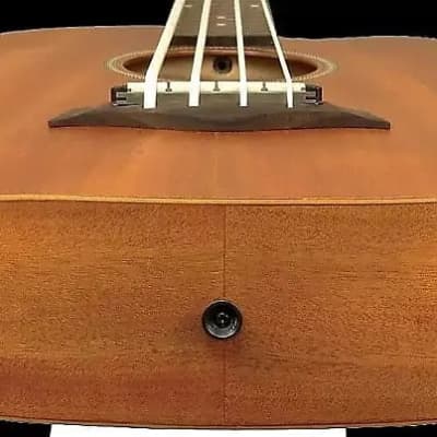 Gold Tone M-Bass25FL 25-Inch Scale Fretless 4-String Acoustic-Electric MicroBass w/Hard Case image 7