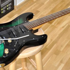 Aria ProⅡ MOD Aria Pro II ZZ Custom with Original Hard Shell Case