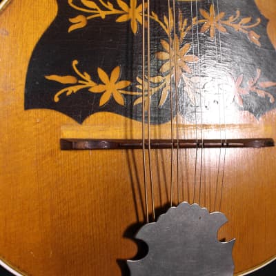 Regal circa 1900 Mandolinetto Spruce/Oak/Brazilian Rosewood image 4