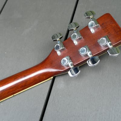 Morris アコースティックギター LF-5 Morris LF-5 Jakaranda 