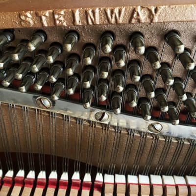 Steinway & Sons Upright piano 1098 model image 3