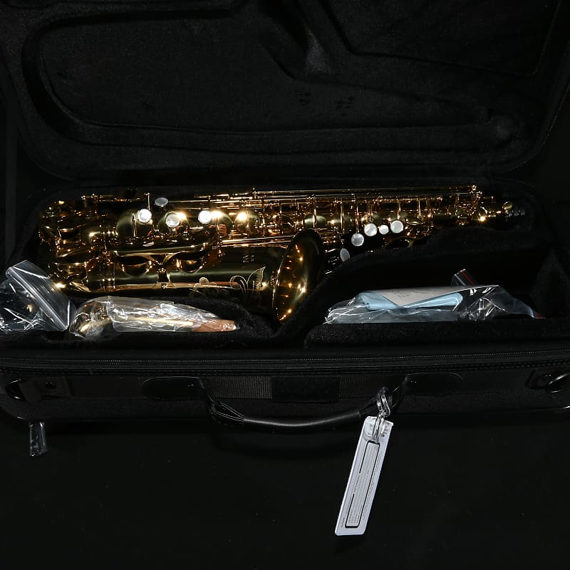 Eastman EAS650 Professional Alto Saxophone - Brass image 1