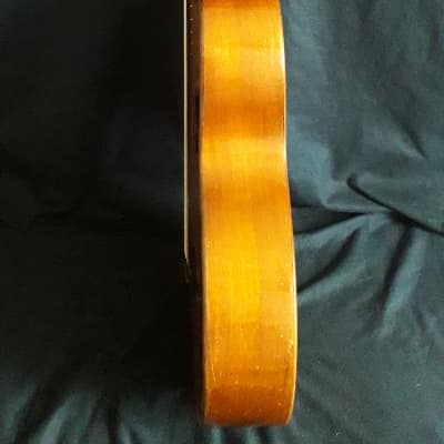German parlor guitar (1900) steel strings image 13