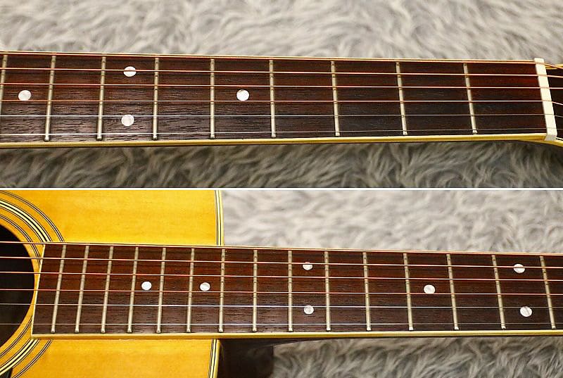 Vintage 1970's made MORALES M25 LYRE BIRD ZEN-ON Music
