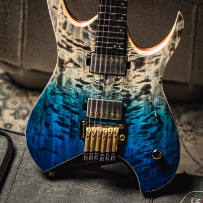 Mayones Hydra Elite PRO 6 | Reverb