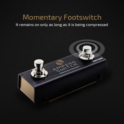 HOTONE Dual Footswitch Pedal Momentary 2-Way Pedal Switcher Foot Controller Ampero Switch 1/4-Inch image 3