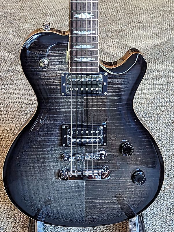 FUJIGEN Expert FL EFL-FM