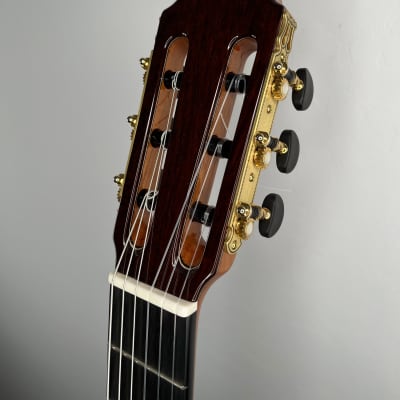 Antonio Picado Model 62 Classical Guitar Spruce & Madagascar w/case *made in Spain image 8