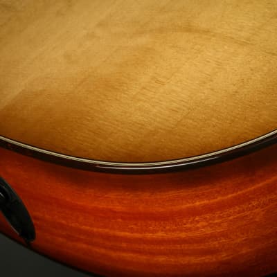 Taylor 514ce (Brand New) image 17