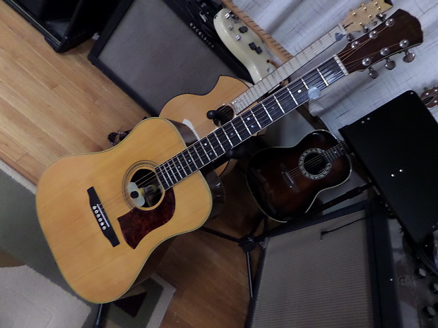 Used mossman hotsell guitars for sale