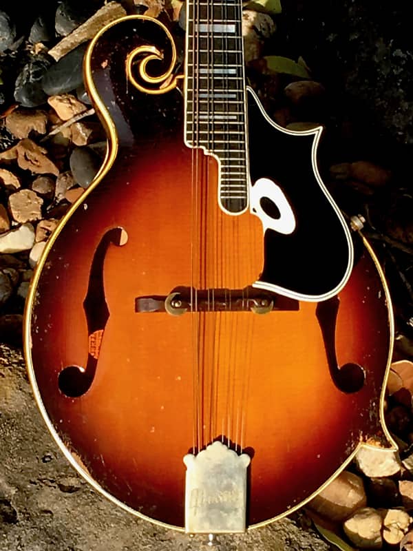 1962 Gibson F5 Mandolin Reverb
