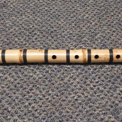 美品/TACHINO CHIE TANZAKU M 2022 / TACHINO CHIE / TANZAKU M / 2305-0817 | r