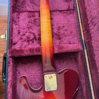 Jimmy Foster Performer 7-String Custom image 13