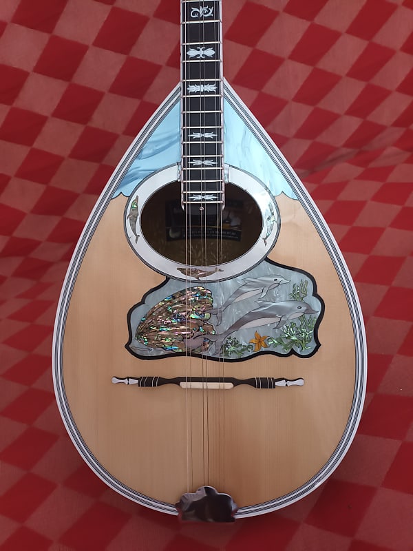 Bouzouki trichordo image 1