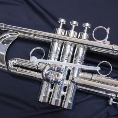 Trompeta Apolo Trumpet «Latino» Plateada image 12