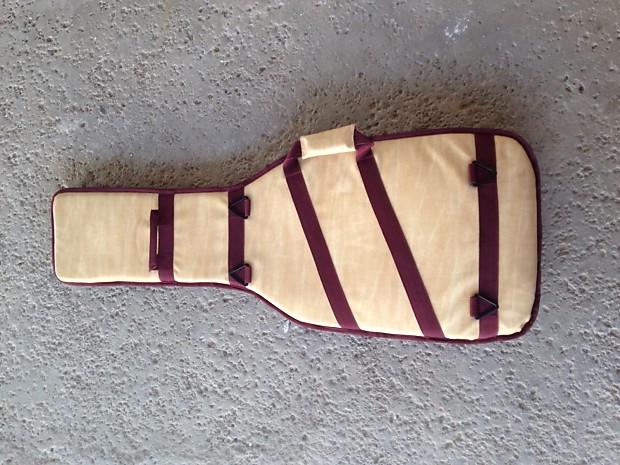 Danelectro gig store bag