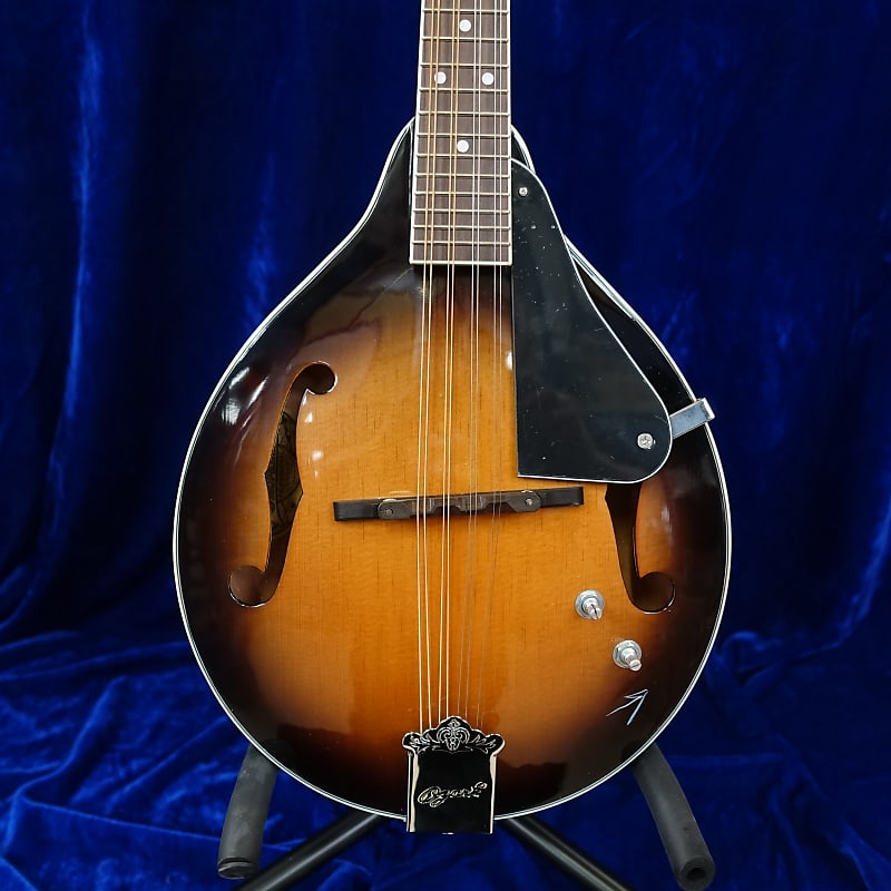 Ozark ElectroAcoustic Mandolin Reverb