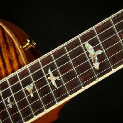 PRS McCarty 594 Singlecut - Yellow Tiger 2023 image 9