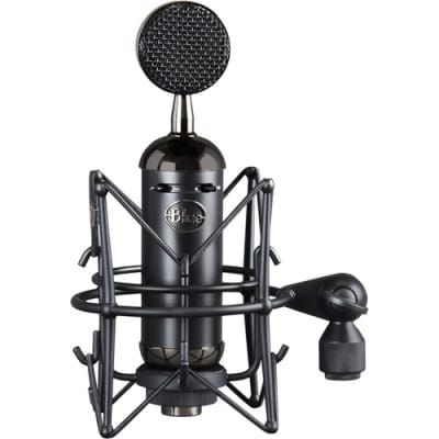 Blue Microphones Spark SL Blackout Large-diaphragm Condenser Microphone image 1