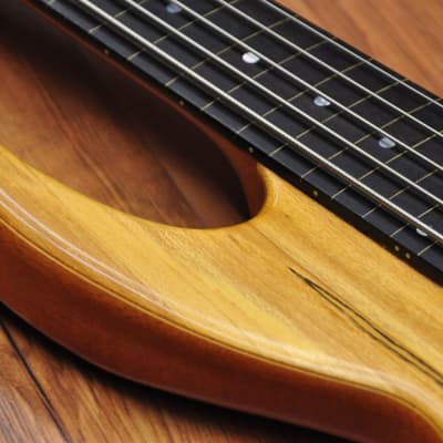 Chris Larkin Reacter 5B Fretless Spalted Maple image 9