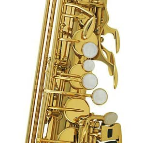 Strauss Student / Intermediate Alto Saxophone w/ Case and Mouthpiece image 4