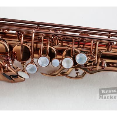 Saxo alto Wood Stone Ishimori Super Custom VL image 9