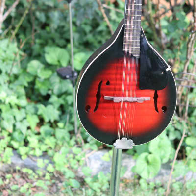 Harmony Monterrey mandolin - Sunburst image 1