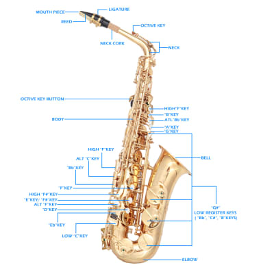 Glarry Alto Saxophone E-Flat Alto SAX Eb with 11reeds, case, carekit, Gold Color for Students image 9