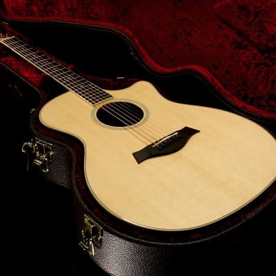 Taylor Willcutt Acoustic Suites Special Edition GAce Cocobolo (141) image 6