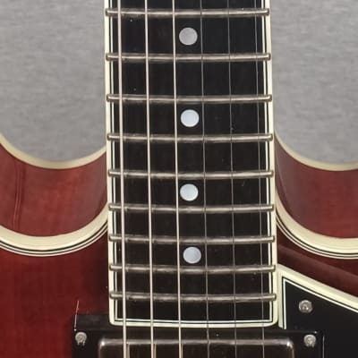 Eastman T484 Thinline Archtop with Hard Shell Case image 4
