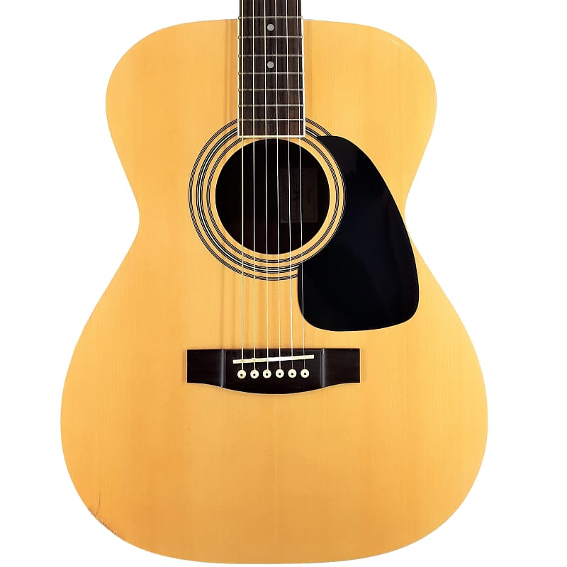Takamine タカミネ T-F1/N アコースティックギター 動作品 Takamine T-F1/N Acoustic Guitar アコースティックギター