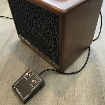 Peterson P100G Guitar Special Amplifier