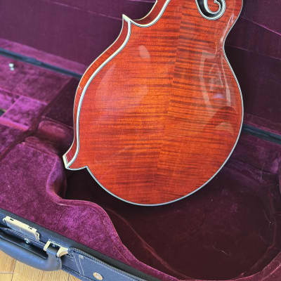Eastman 815 2022 - Gloss image 6
