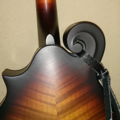 Furch MF 22SF mandolin with K&K pickup and hard shell case image 5