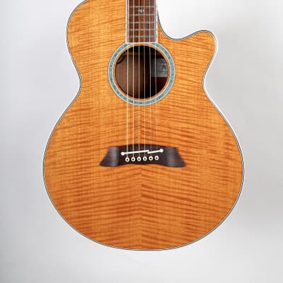 Takamine PT-105 1984 Black - Japan only | Reverb Canada