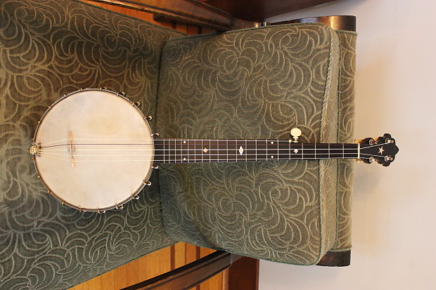 Ss stewart banjo for sale cheap